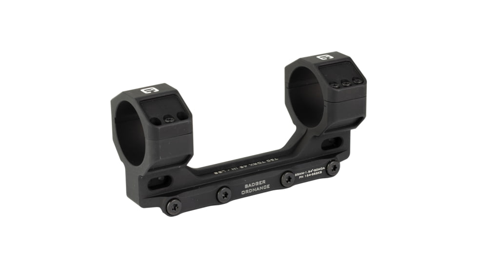 Badger Ordnance Condition One Max, Mount, 3