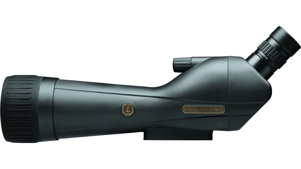 Leupold SX-1 Ventana 2 20-60x80mm Angled Gray/Black 170761