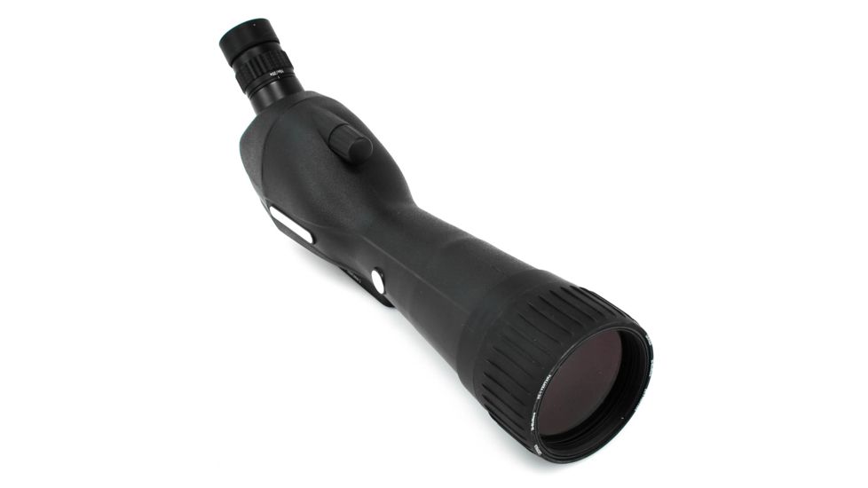 Leupold SX-1 Ventana 2 20-60x80mm Angled Gray/Black 170761