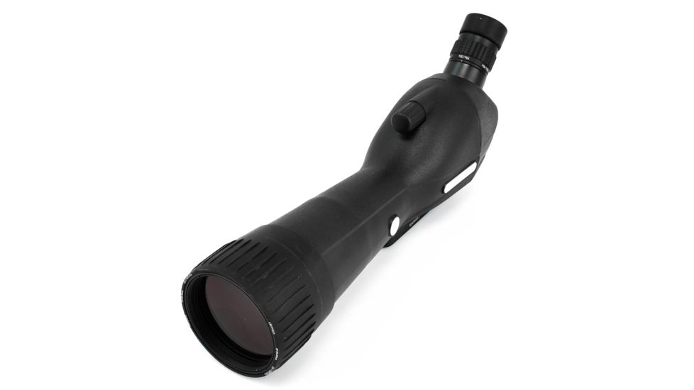 Leupold SX-1 Ventana 2 20-60x80mm Angled Gray/Black 170761