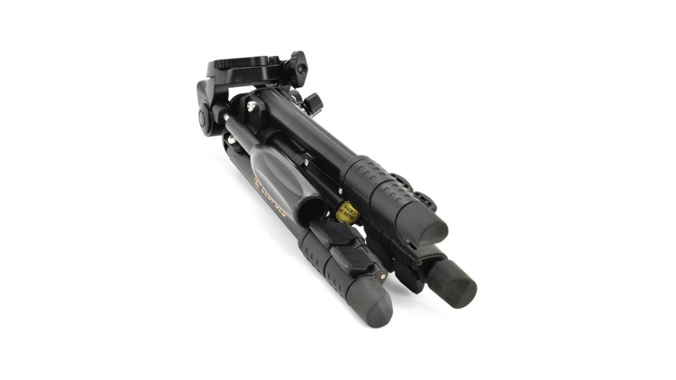Leupold SX-1 Ventana 2 20-60x80mm Angled Kit Gray/Black 170762